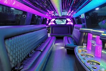 Thousand Oaks Limo Interior